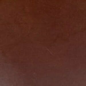 Swatch Papaya Leather