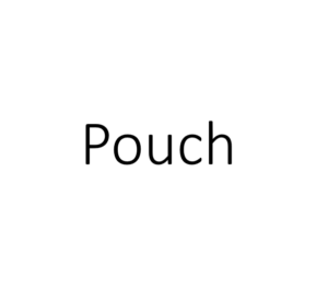 Pouch