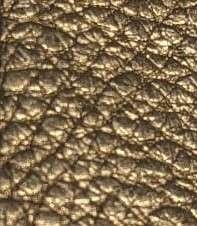 Metallic Goldy Leather